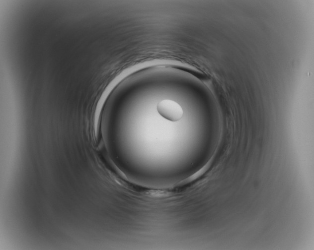 X0000114560528200910191434