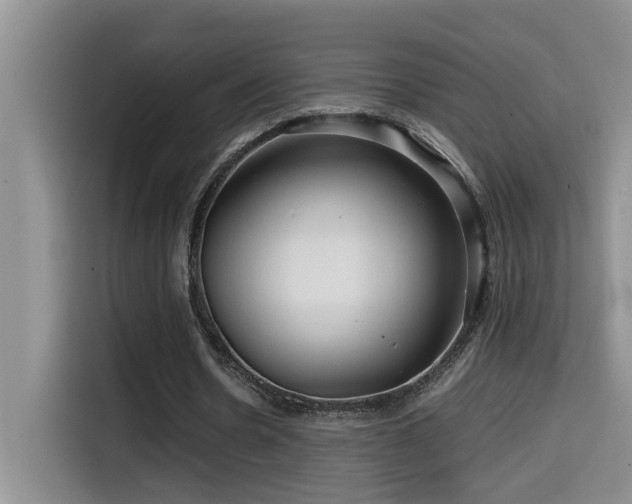 X0000114560530200910191433