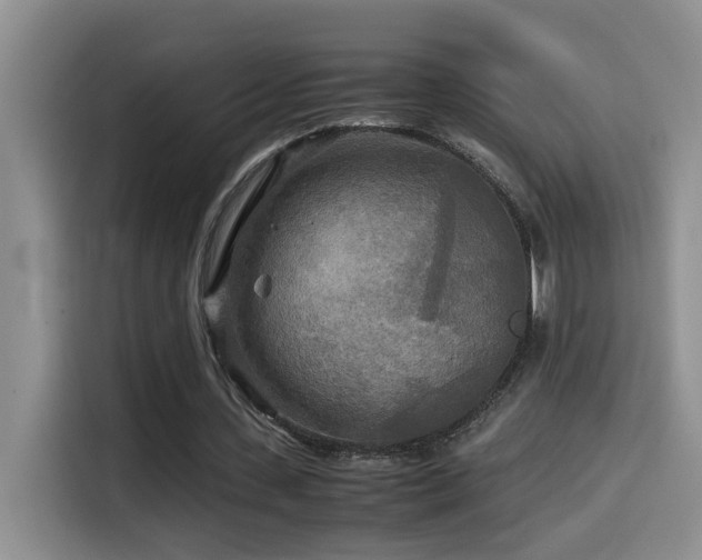 X0000114560531200910191433