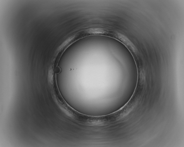 X0000114560533200910191433