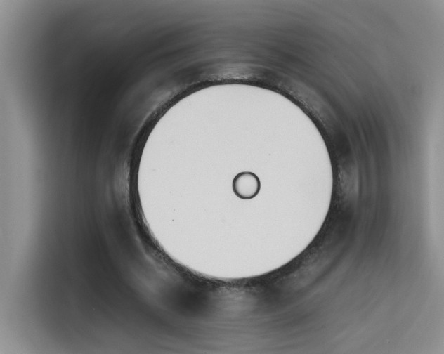 X0000114560534200910191433