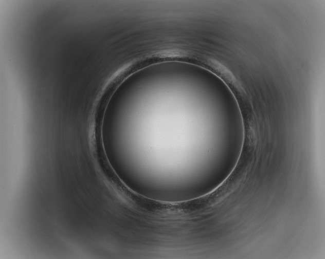 X0000114560535200910191433