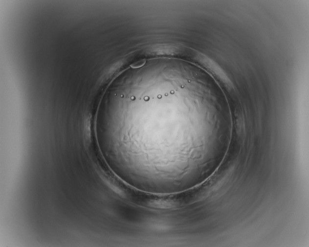 X0000114560537200910191433