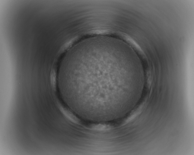 X0000114560542200910191433