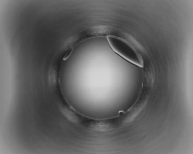 X0000114560546200910191433