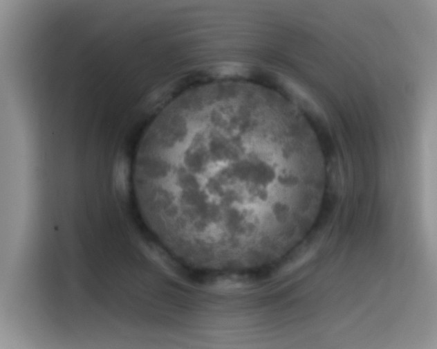 X0000114560550200910191433