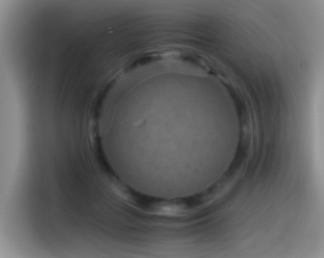 X0000114560555200910191433