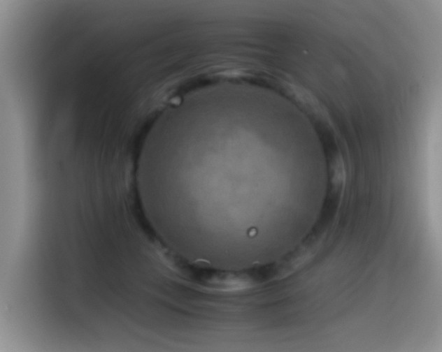 X0000114560559200910191434
