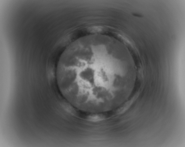X0000114560561200910191434