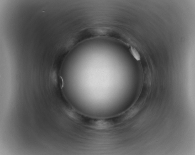 X0000114560562200910191434