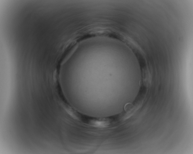 X0000114560563200910191434