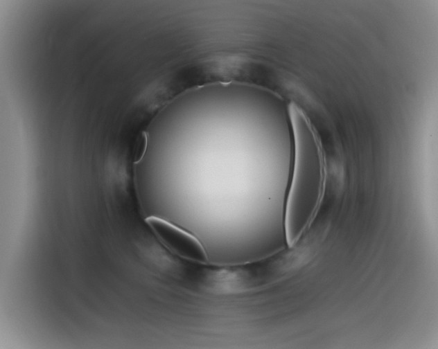 X0000114560566200910191434