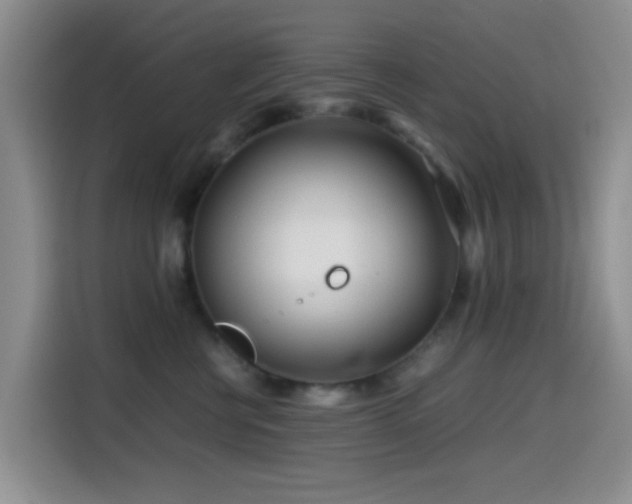 X0000114560570200910191434