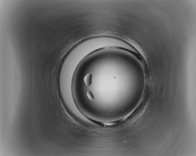 X0000114560577200910191433