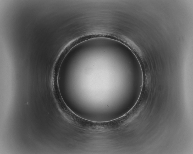 X0000114560580200910191433