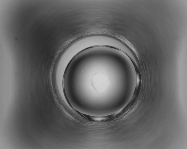X0000114560581200910191433