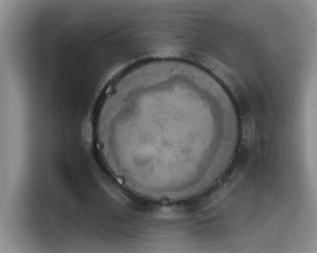 X0000114560584200910191433