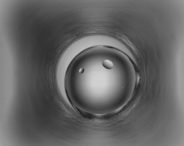 X0000114560585200910191433
