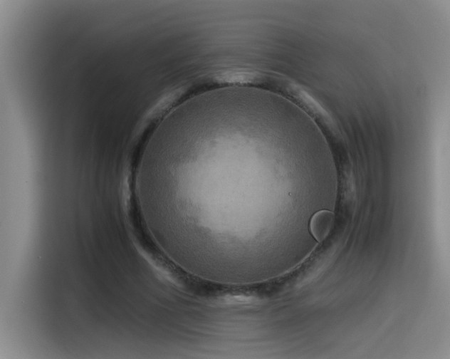 X0000114560586200910191433