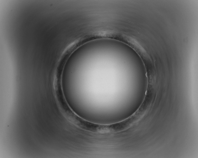 X0000114560587200910191433