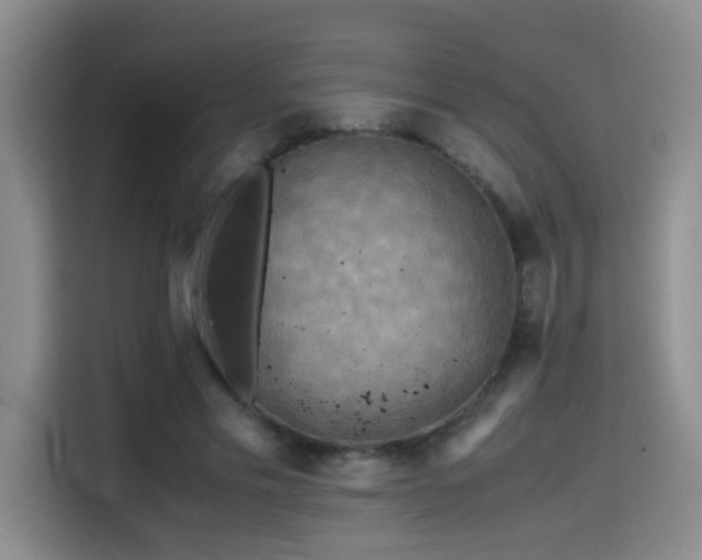 X0000114560589200910191433
