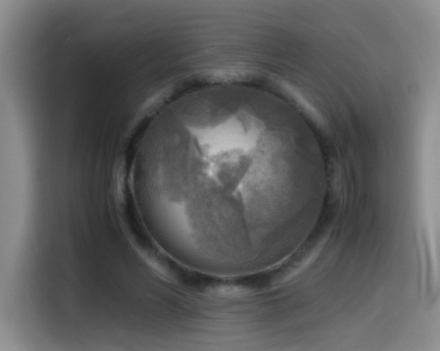 X0000114560590200910191433