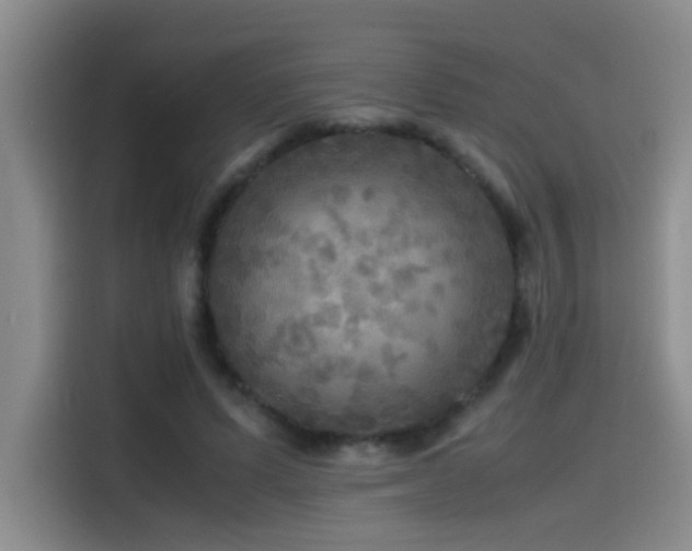 X0000114560591200910191433