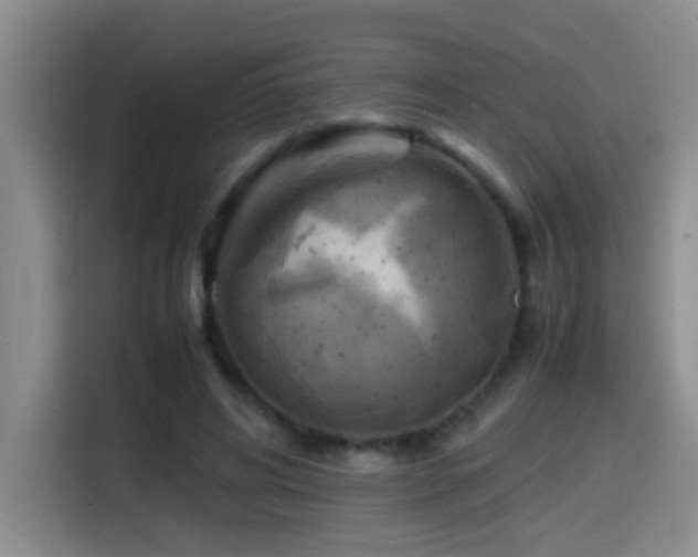 X0000114560592200910191433