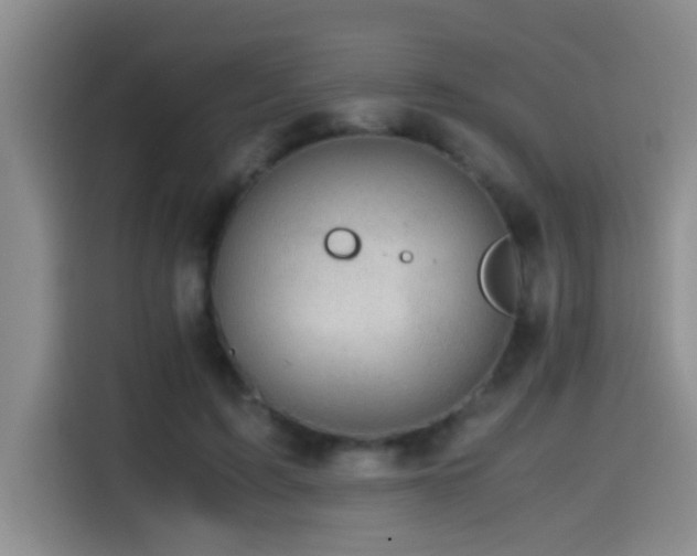 X0000114560595200910191433