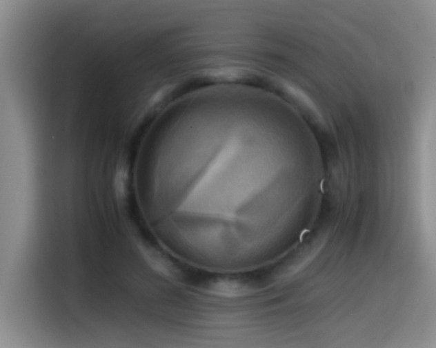 X0000114560596200910191433
