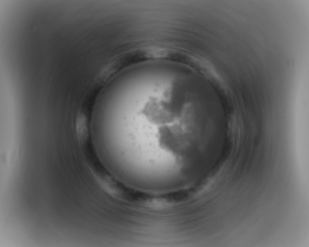 X0000114560598200910191433