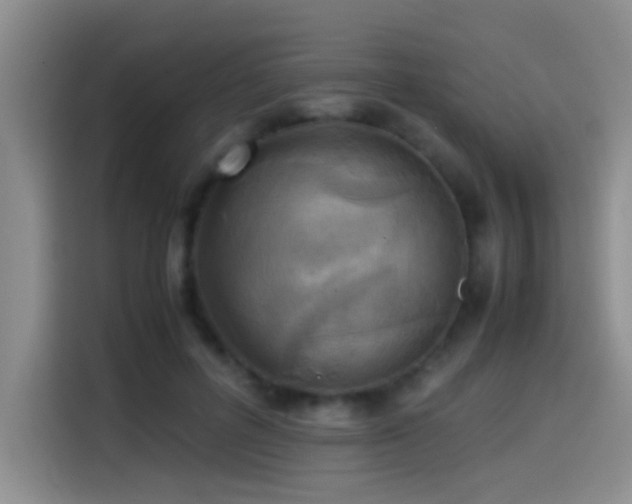 X0000114560600200910191433