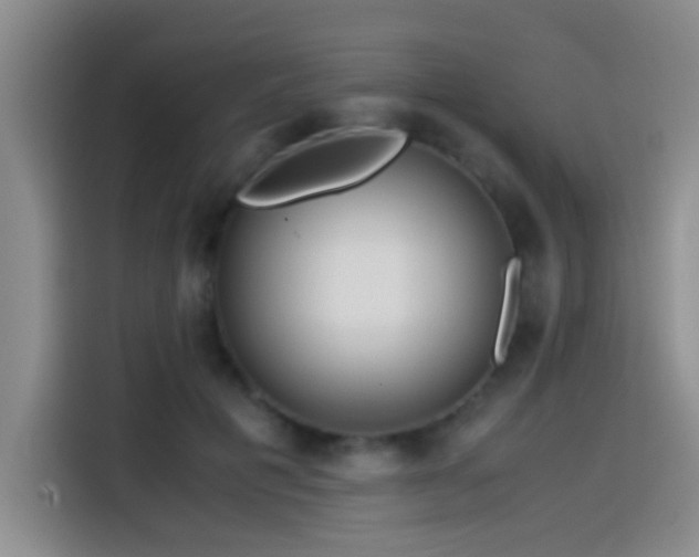 X0000114560601200910191433