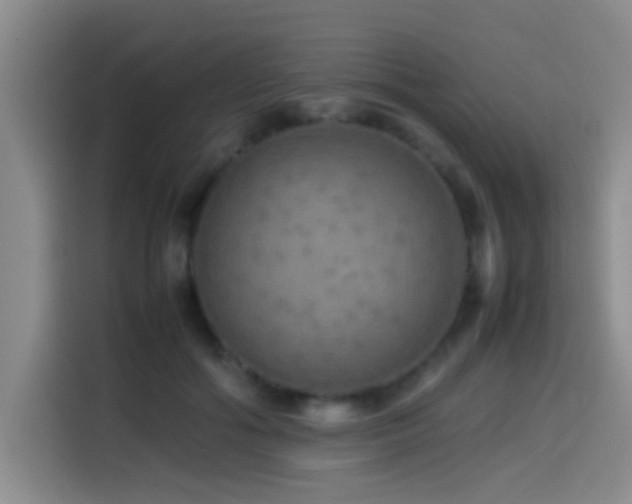 X0000114560602200910191433