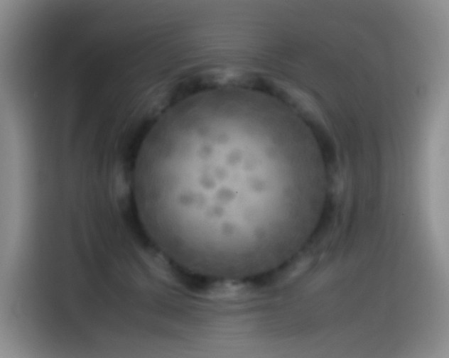 X0000114560607200910191433