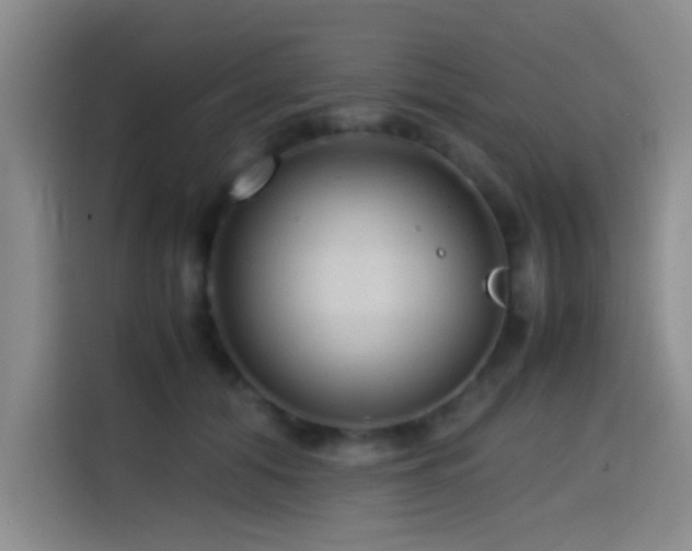 X0000114560608200910191433