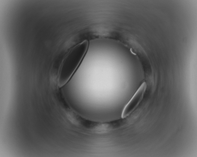 X0000114560609200910191433