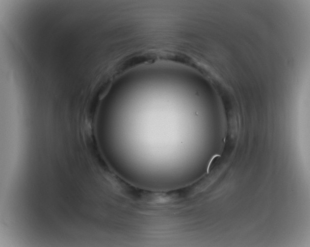 X0000114560613200910191433