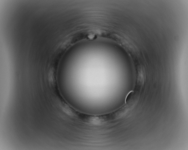 X0000114560616200910191433