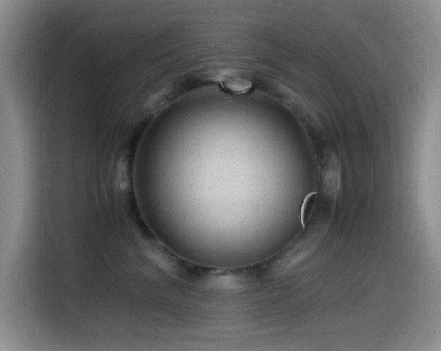 X0000114560620200910191433