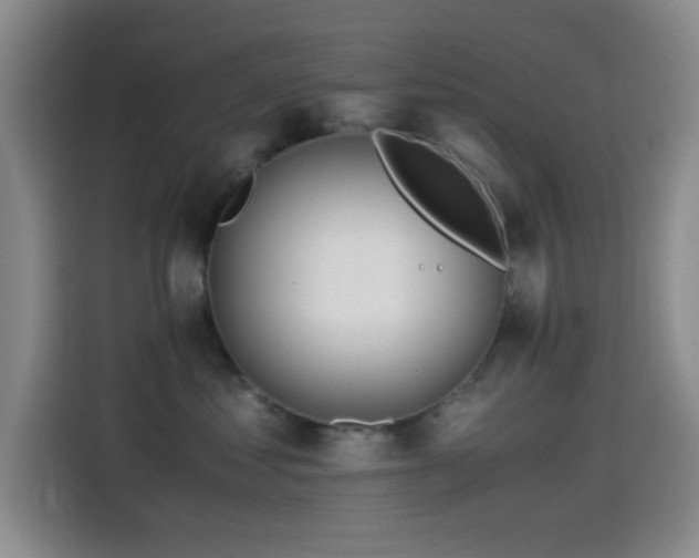 X0000114560621200910191433