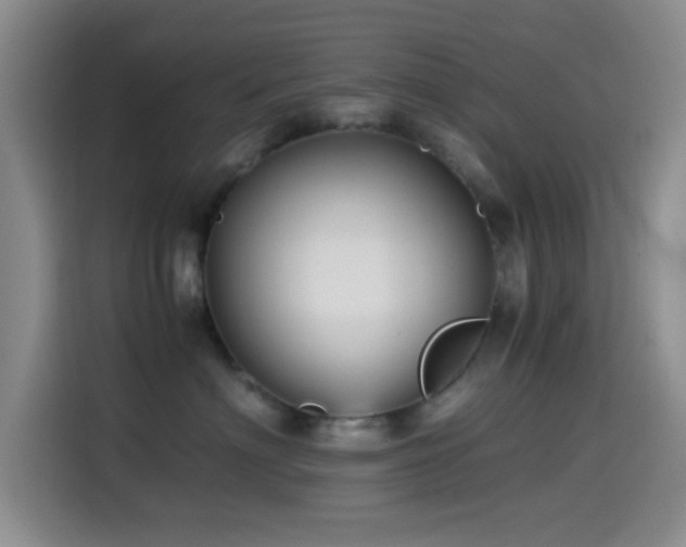 X0000114560622200910191433