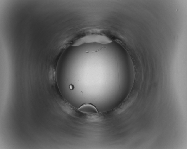 X0000114560624200910191433