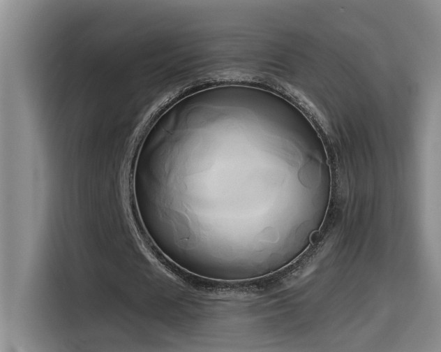 X0000114560625200910191432