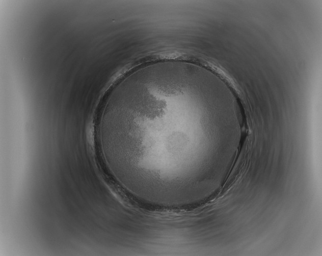 X0000114560626200910191432