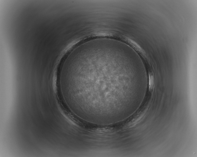 X0000114560627200910191432