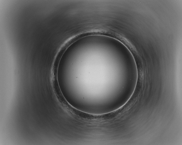 X0000114560628200910191432