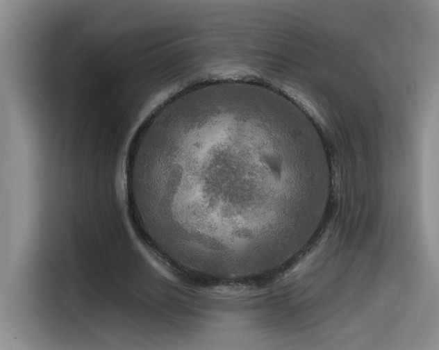 X0000114560630200910191432
