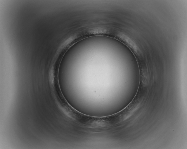 X0000114560631200910191432
