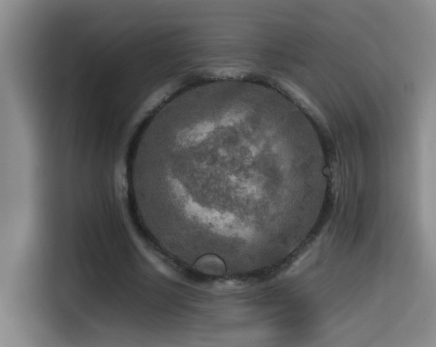 X0000114560634200910191432